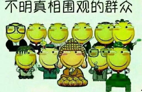 娱乐吃瓜蜀黍广告语怎么写,揭秘娱乐圈幕后故事，带你畅游八卦海洋